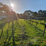Yarra Valley Budget and Budget Plus Tours